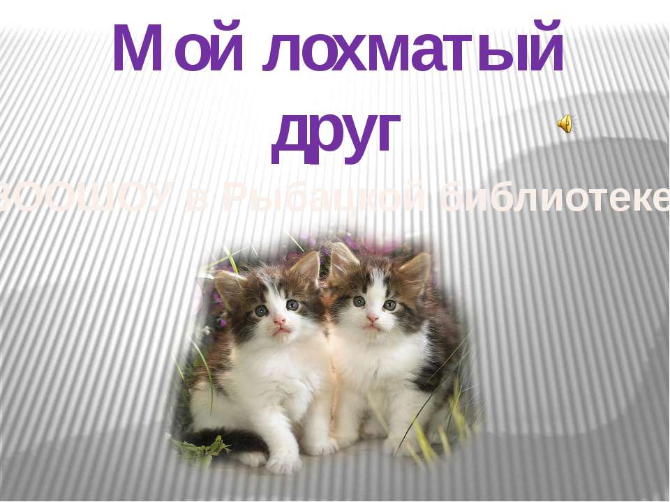 Зоошоу в Рыбацкой библиотеке Учебники, Презентации и Подготовка к Экзаменам для Школьников на Klass-Uchebnik.com