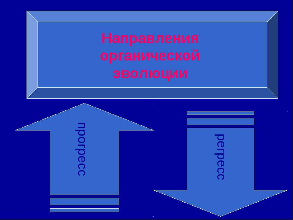 Направления органической эволюции - Учебники, Презентации и Подготовка к Экзаменам для Школьников на Klass-Uchebnik.com