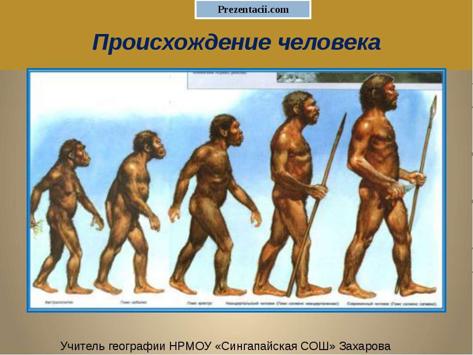 Происхождение человека 11 класс Учебники, Презентации и Подготовка к Экзаменам для Школьников на Klass-Uchebnik.com