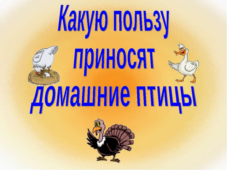 Какую пользу приносят домашние птицы - Учебники, Презентации и Подготовка к Экзаменам для Школьников на Klass-Uchebnik.com