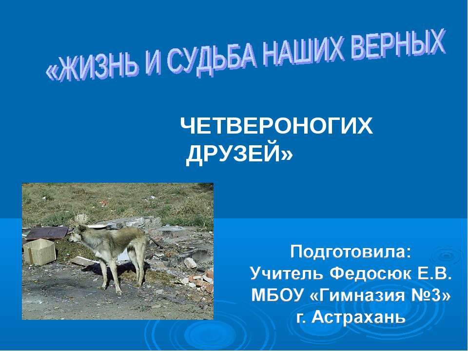 Жизнь четвероногих - Учебники, Презентации и Подготовка к Экзаменам для Школьников на Klass-Uchebnik.com