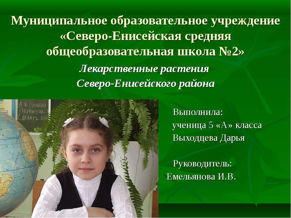 Лекарственные растения Северо-Енисейского района - Учебники, Презентации и Подготовка к Экзаменам для Школьников на Klass-Uchebnik.com