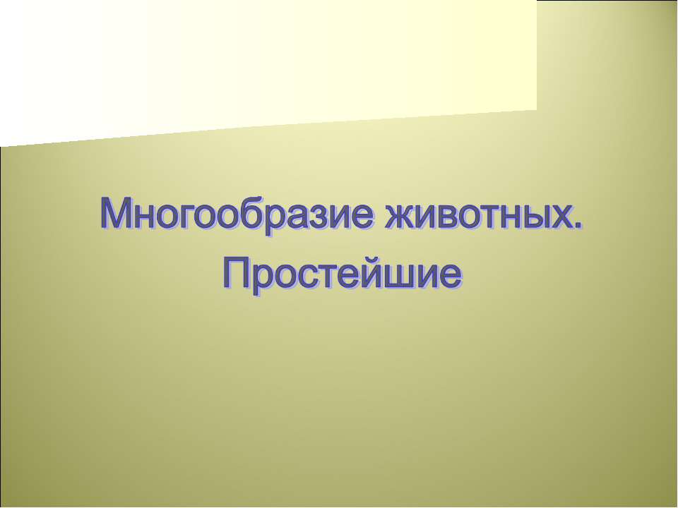 Многообразие животных. Простейшие Учебники, Презентации и Подготовка к Экзаменам для Школьников на Klass-Uchebnik.com