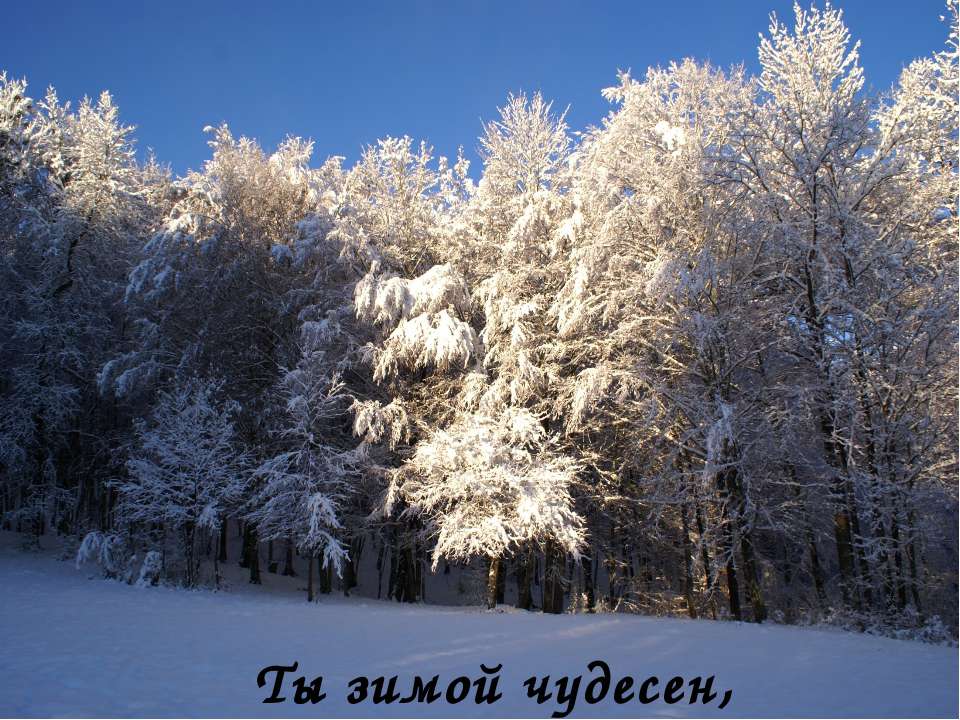 Казачий фольклор 3 класс Учебники, Презентации и Подготовка к Экзаменам для Школьников на Klass-Uchebnik.com