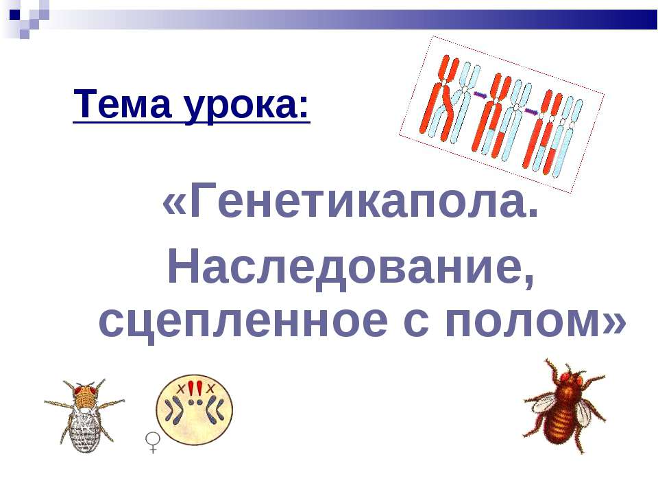 Генетикапола. Наследование, сцепленное с полом - Учебники, Презентации и Подготовка к Экзаменам для Школьников на Klass-Uchebnik.com