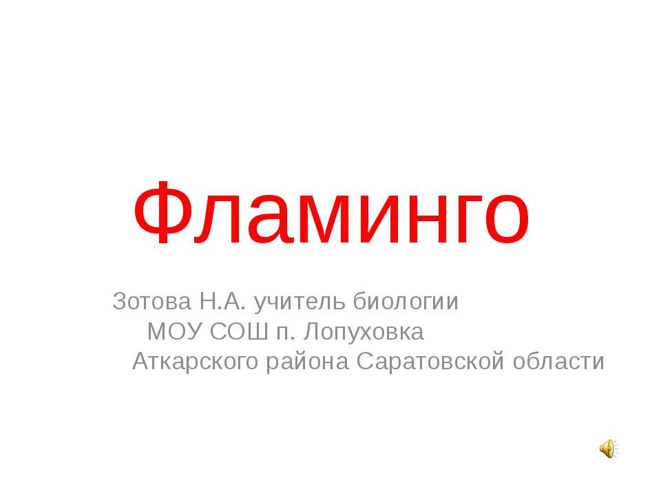 Фламинго Учебники, Презентации и Подготовка к Экзаменам для Школьников на Klass-Uchebnik.com