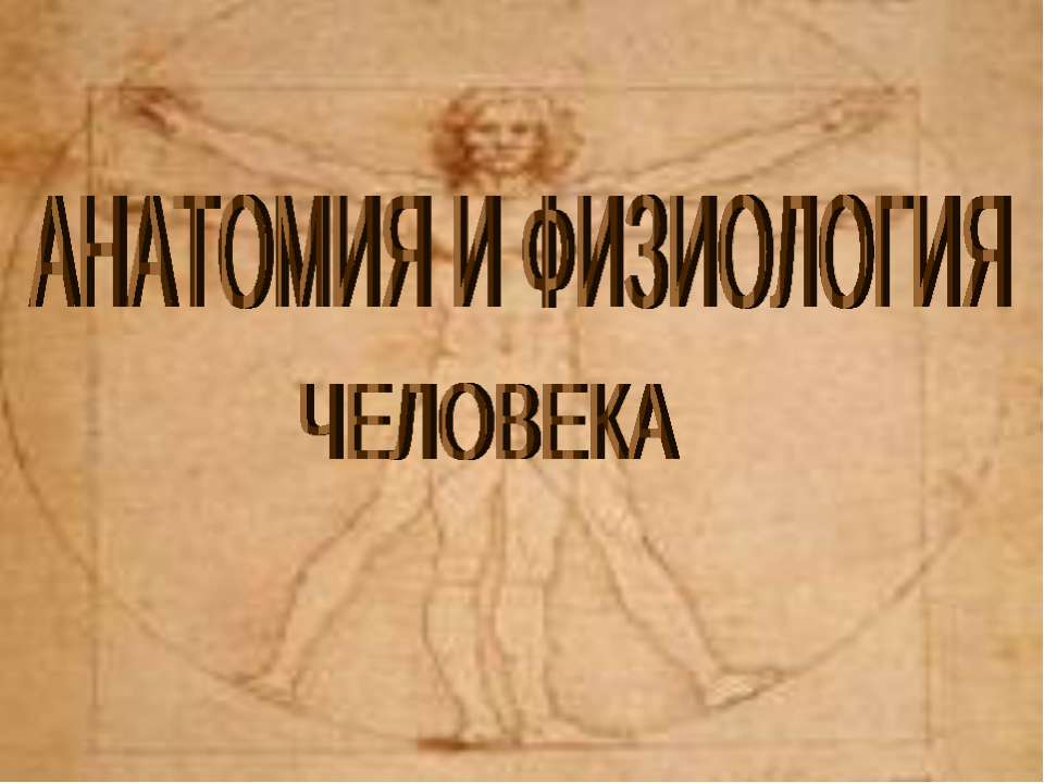 Анатомия и физиология человека Учебники, Презентации и Подготовка к Экзаменам для Школьников на Klass-Uchebnik.com