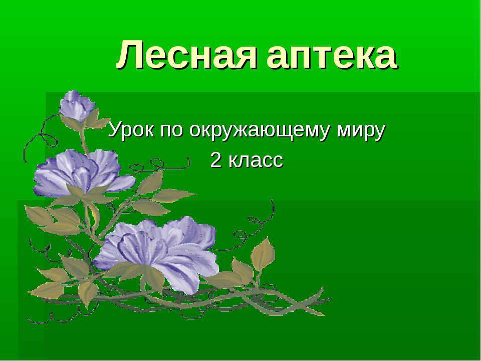 Лесная аптека - Учебники, Презентации и Подготовка к Экзаменам для Школьников на Klass-Uchebnik.com