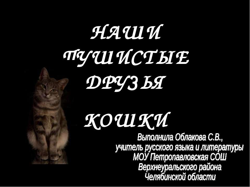 Наши пушистые друзья. Кошки - Учебники, Презентации и Подготовка к Экзаменам для Школьников на Klass-Uchebnik.com