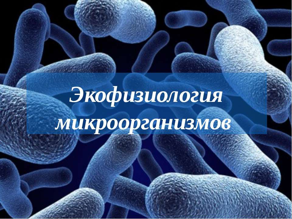 Экофизиология микроорганизмов Учебники, Презентации и Подготовка к Экзаменам для Школьников на Klass-Uchebnik.com