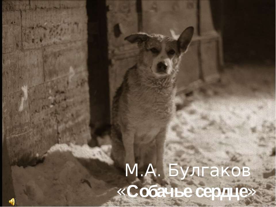 Собачье сердце - Учебники, Презентации и Подготовка к Экзаменам для Школьников на Klass-Uchebnik.com