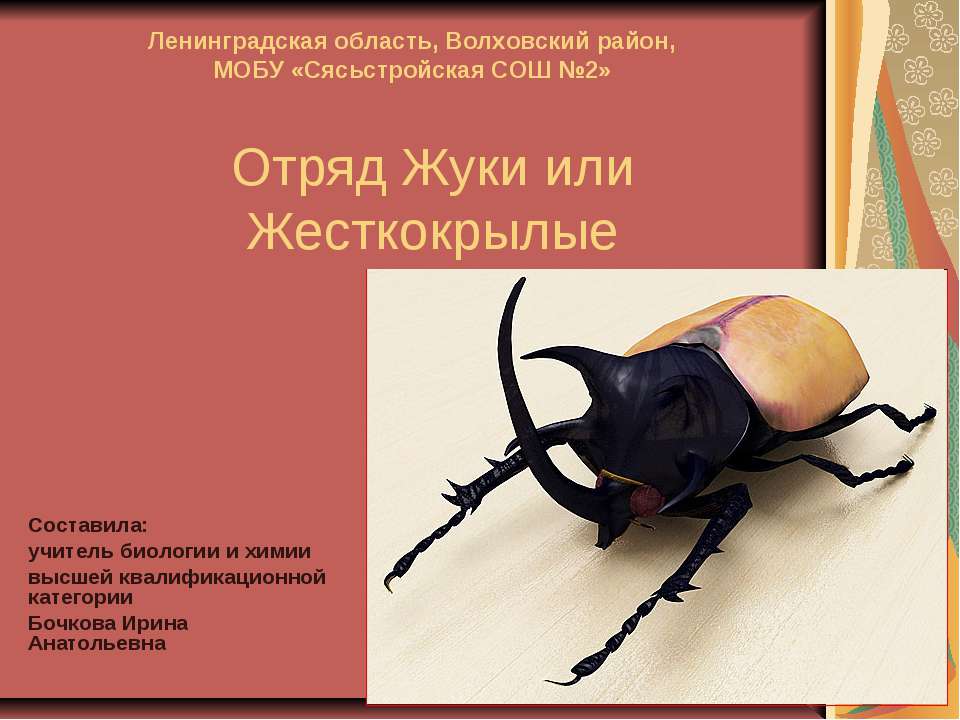 Отряд Жуки или Жесткокрылые Учебники, Презентации и Подготовка к Экзаменам для Школьников на Klass-Uchebnik.com