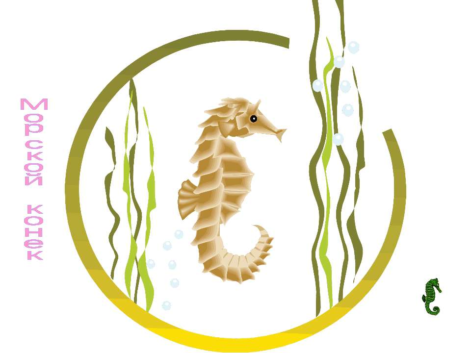 Морской конек - Учебники, Презентации и Подготовка к Экзаменам для Школьников на Klass-Uchebnik.com