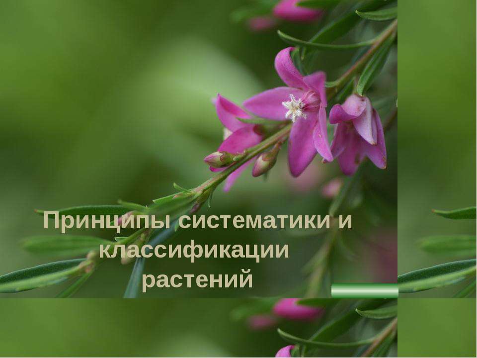 Принципы систематики и классификации растений Учебники, Презентации и Подготовка к Экзаменам для Школьников на Klass-Uchebnik.com