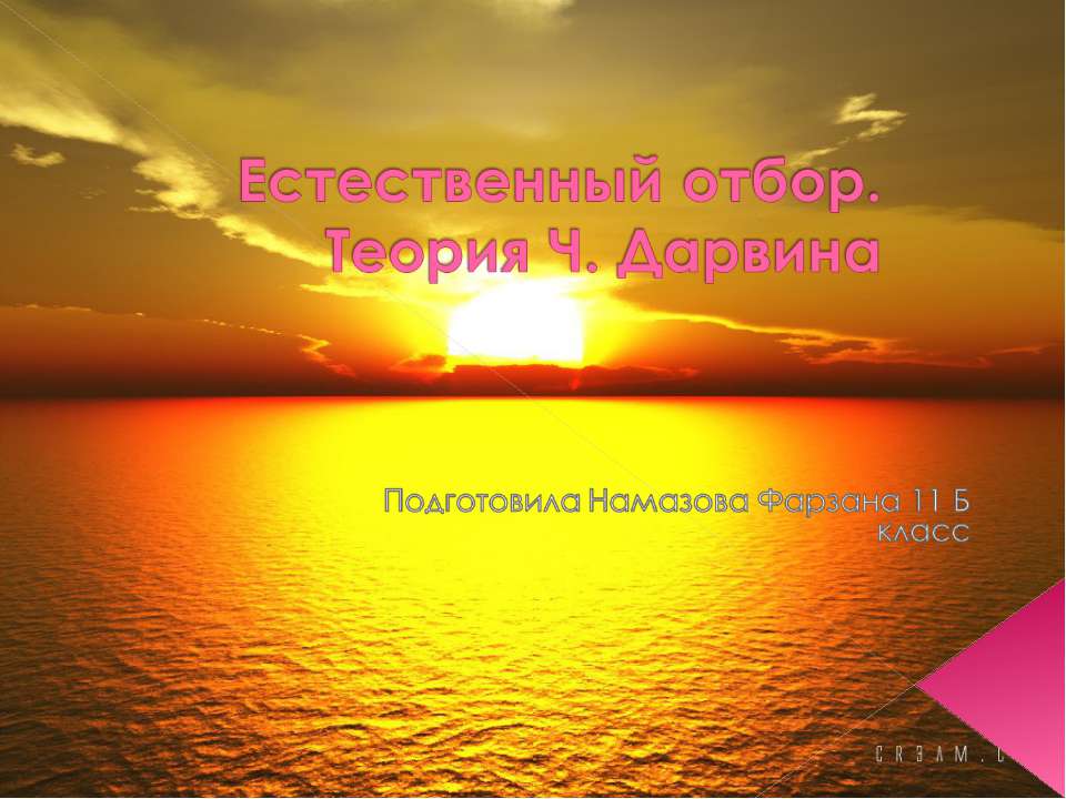 Естественный отбор. Теория Ч. Дарвина Учебники, Презентации и Подготовка к Экзаменам для Школьников на Klass-Uchebnik.com