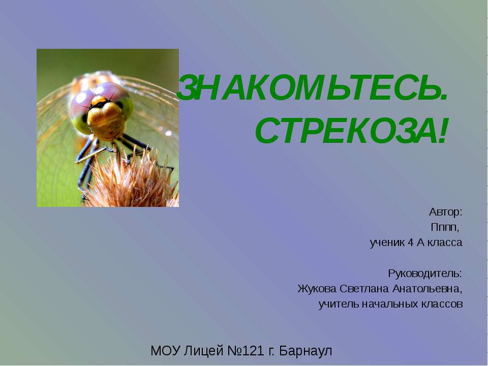 Знакомьтесь. Стрекоза Учебники, Презентации и Подготовка к Экзаменам для Школьников на Klass-Uchebnik.com
