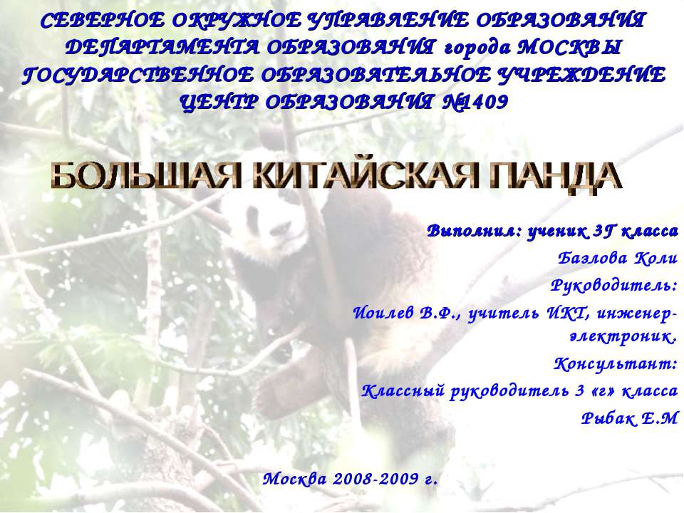 Большая китайская панда Учебники, Презентации и Подготовка к Экзаменам для Школьников на Klass-Uchebnik.com