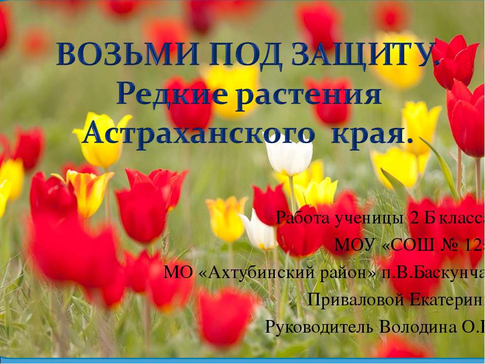 Возьми под защиту. Редкие растения Астраханского края Учебники, Презентации и Подготовка к Экзаменам для Школьников на Klass-Uchebnik.com