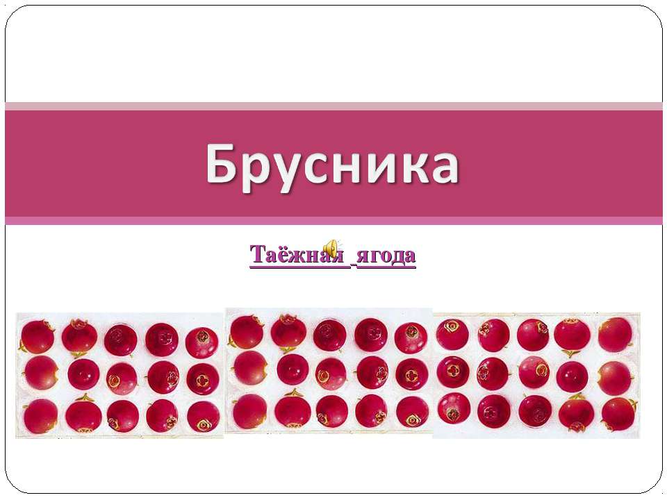 Брусника-таёжная ягода Учебники, Презентации и Подготовка к Экзаменам для Школьников на Klass-Uchebnik.com