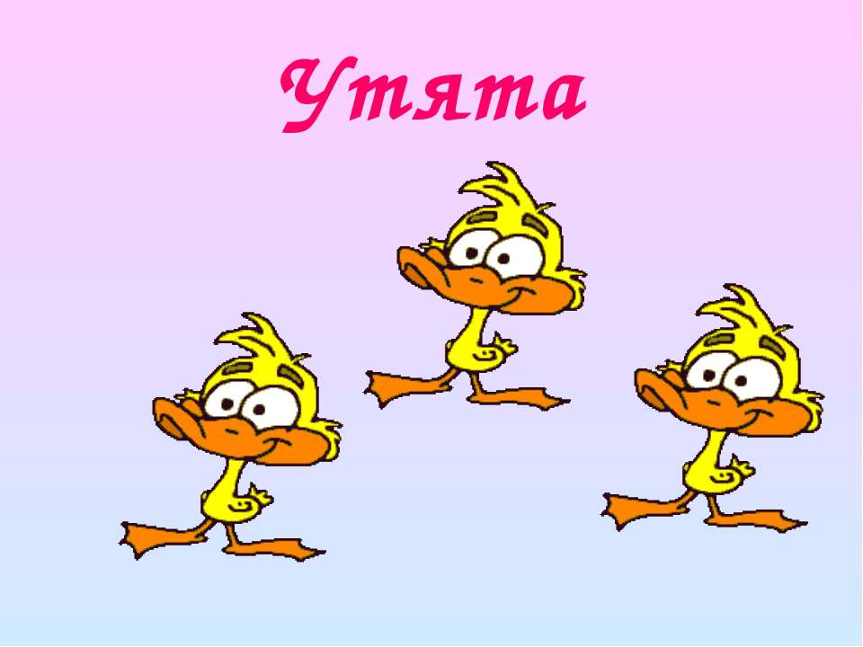 Гимнастика для рук - Учебники, Презентации и Подготовка к Экзаменам для Школьников на Klass-Uchebnik.com