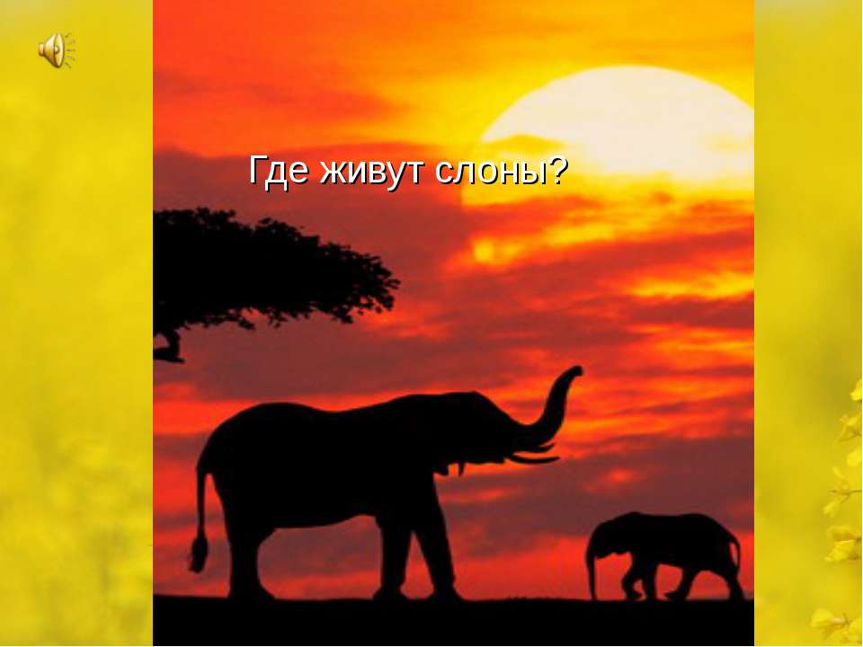 Где живут слоны? - Учебники, Презентации и Подготовка к Экзаменам для Школьников на Klass-Uchebnik.com