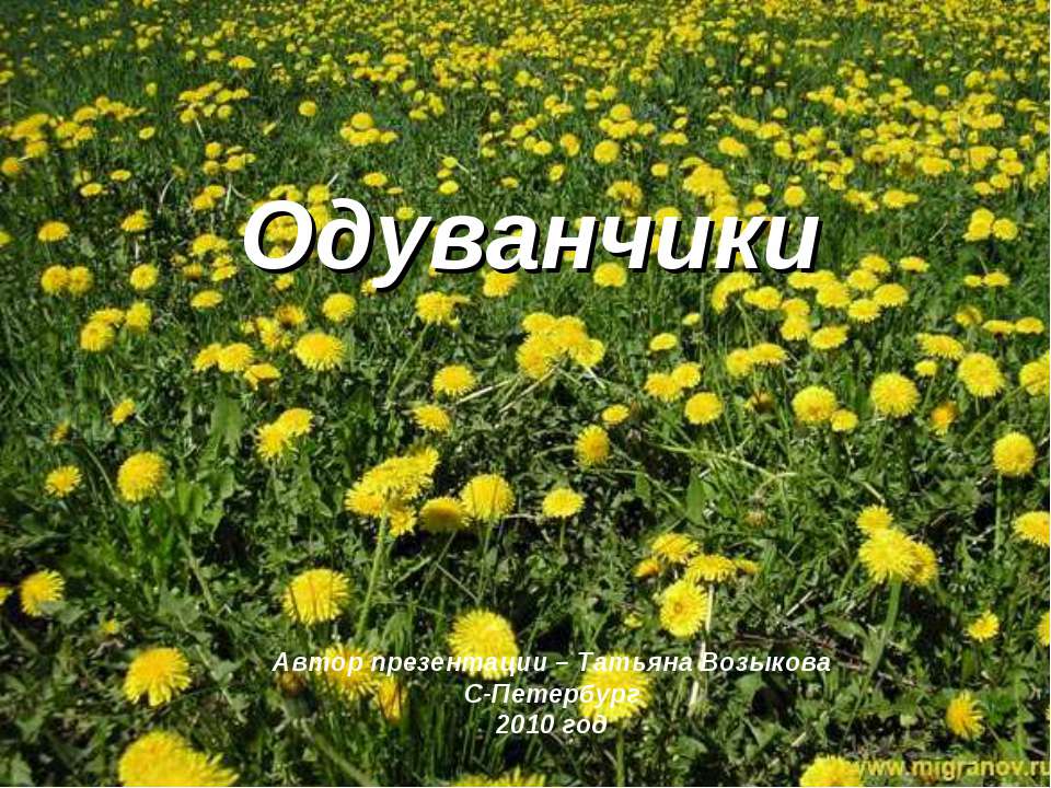 Одуванчики Учебники, Презентации и Подготовка к Экзаменам для Школьников на Klass-Uchebnik.com