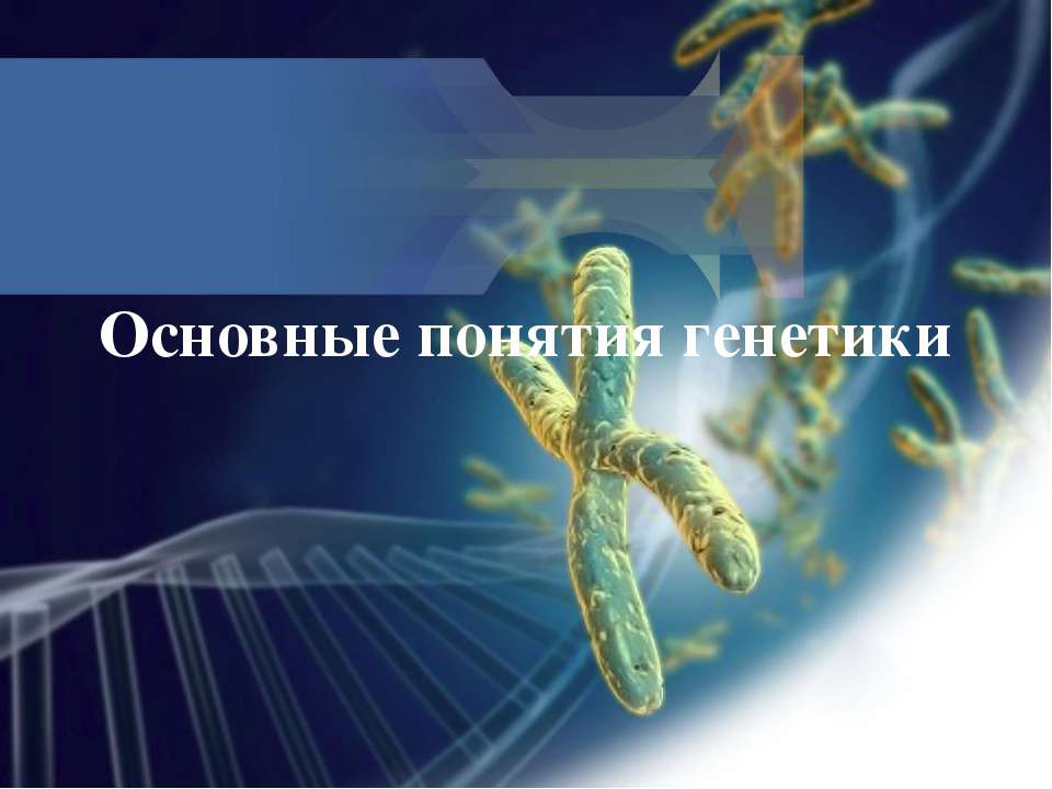 Основные понятия генетики Учебники, Презентации и Подготовка к Экзаменам для Школьников на Klass-Uchebnik.com