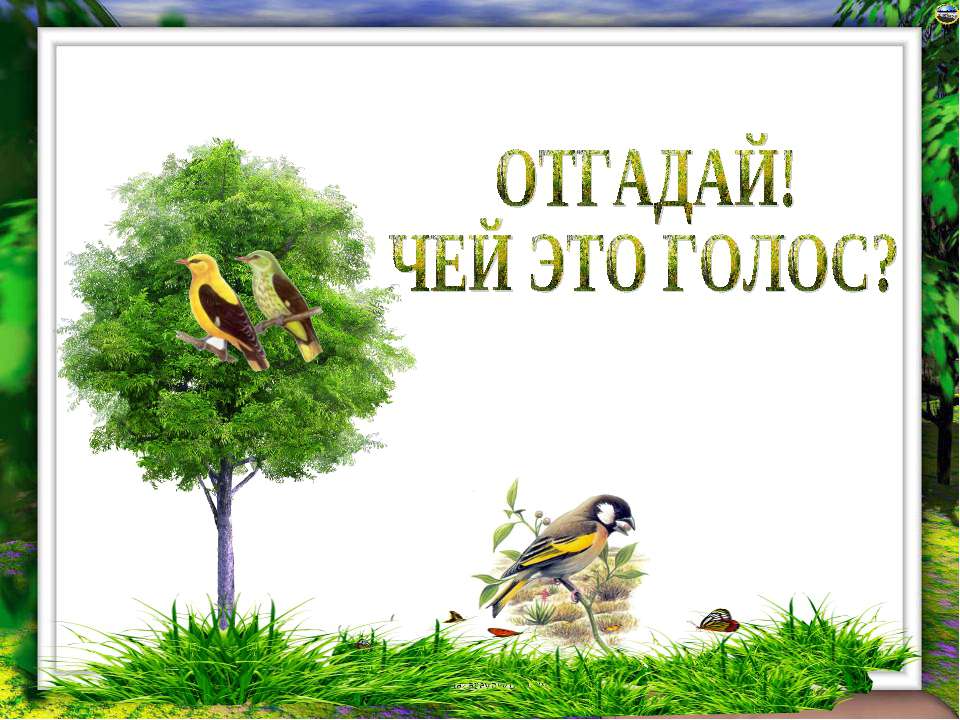Отгадай! Чей это голос? Учебники, Презентации и Подготовка к Экзаменам для Школьников на Klass-Uchebnik.com