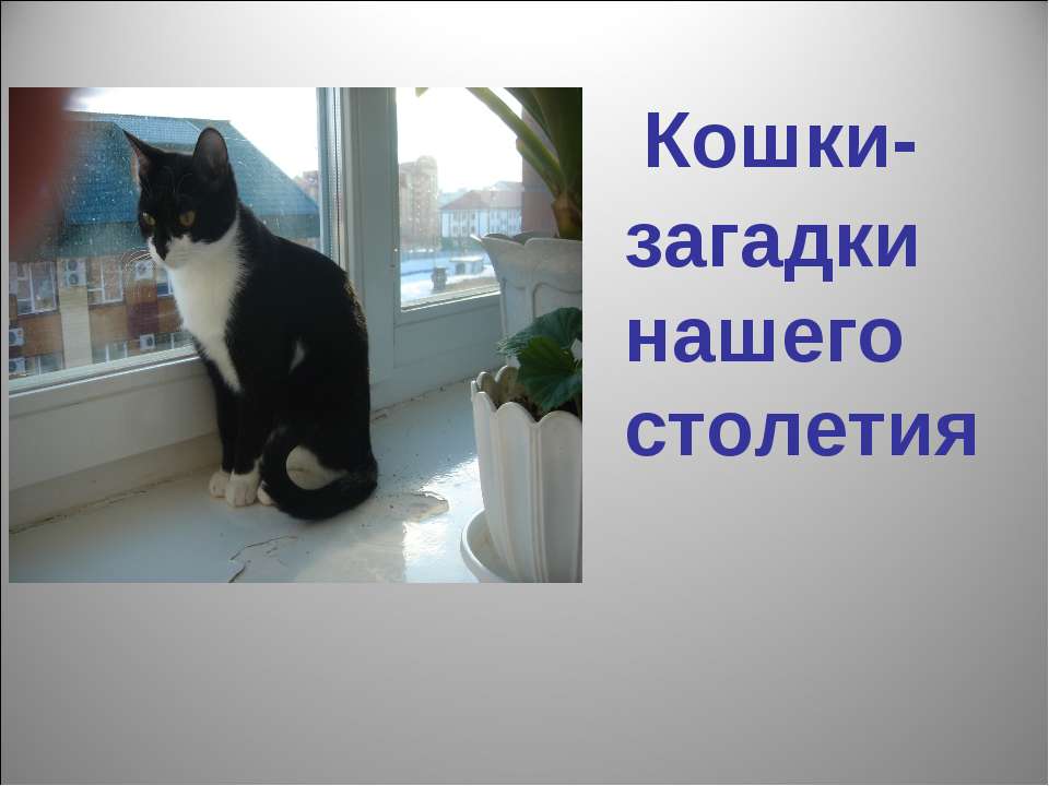 Кошки - загадки нашего столетия - Учебники, Презентации и Подготовка к Экзаменам для Школьников на Klass-Uchebnik.com