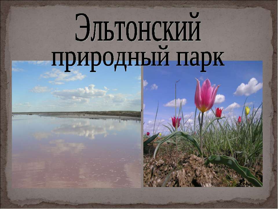 Эльтонский природный парк - Учебники, Презентации и Подготовка к Экзаменам для Школьников на Klass-Uchebnik.com
