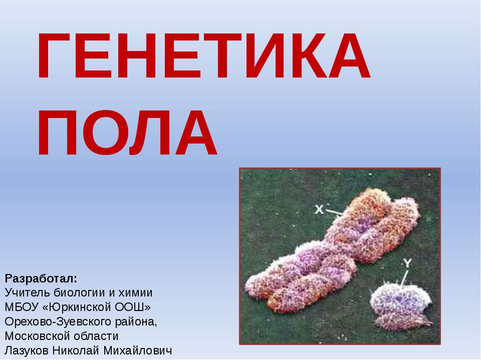 Генетика пола - Учебники, Презентации и Подготовка к Экзаменам для Школьников на Klass-Uchebnik.com