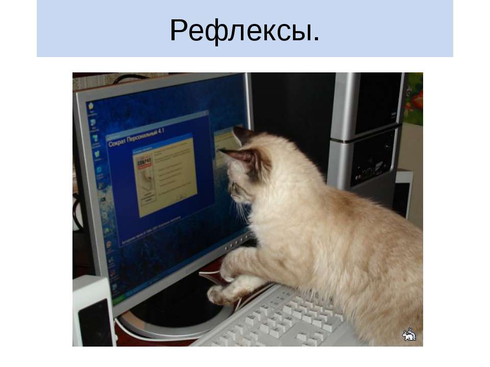 Рефлексы Учебники, Презентации и Подготовка к Экзаменам для Школьников на Klass-Uchebnik.com