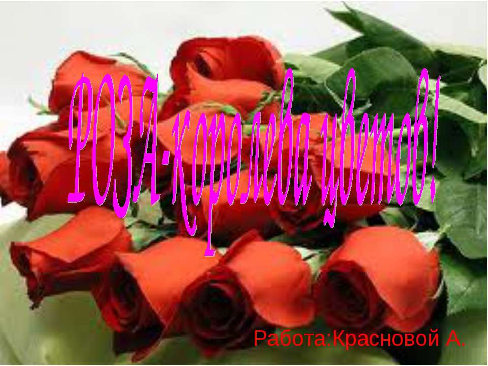 Роза-королева цветов! - Учебники, Презентации и Подготовка к Экзаменам для Школьников на Klass-Uchebnik.com