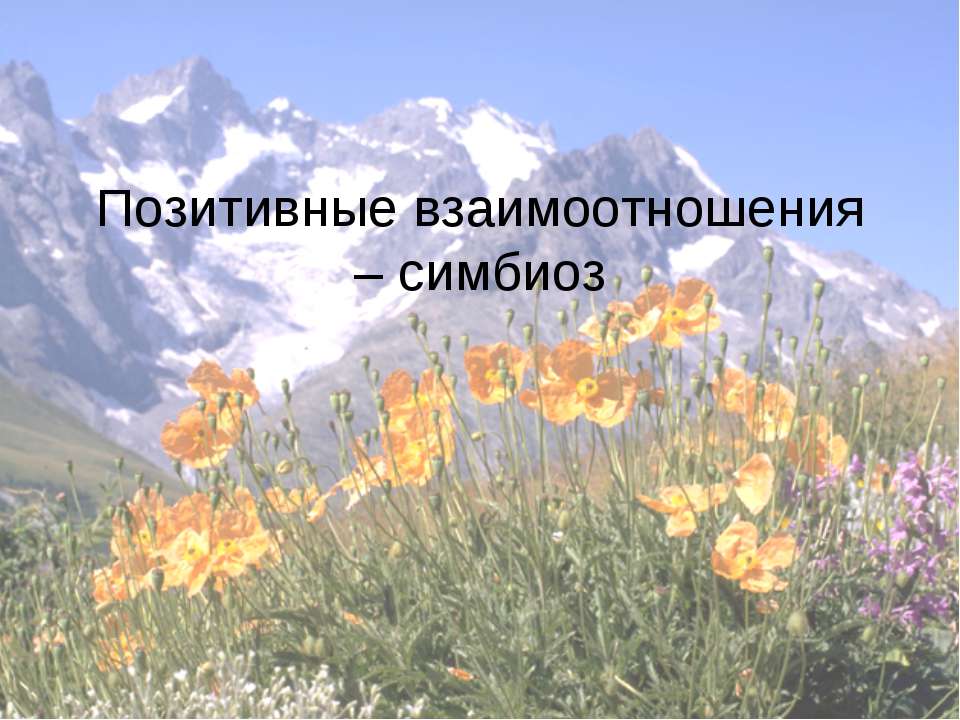 Позитивные взаимоотношения – симбиоз - Учебники, Презентации и Подготовка к Экзаменам для Школьников на Klass-Uchebnik.com