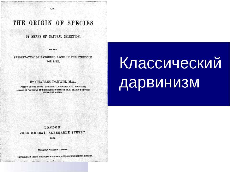 Классический дарвинизм Учебники, Презентации и Подготовка к Экзаменам для Школьников на Klass-Uchebnik.com