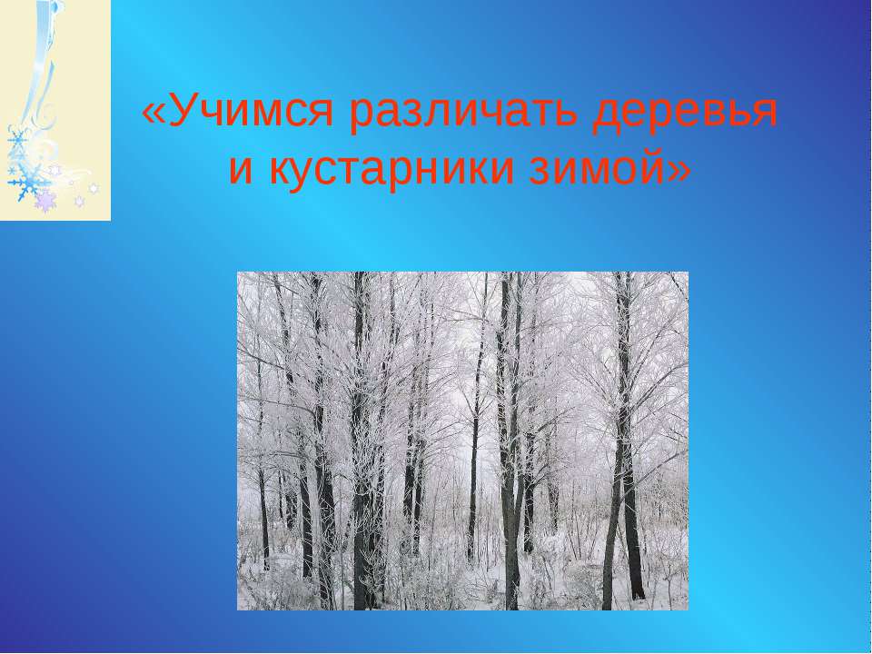 Учимся различать деревья и кустарники зимой Учебники, Презентации и Подготовка к Экзаменам для Школьников на Klass-Uchebnik.com