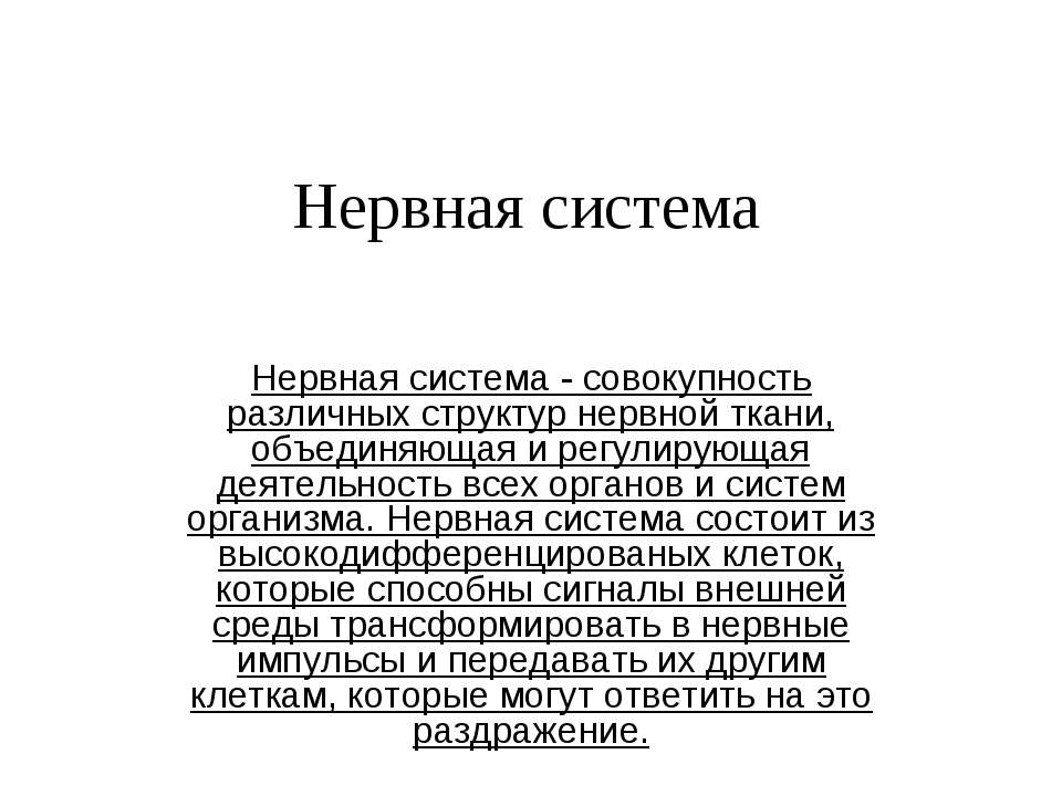 Нервная система Учебники, Презентации и Подготовка к Экзаменам для Школьников на Klass-Uchebnik.com