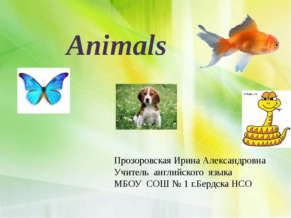 Animals - Учебники, Презентации и Подготовка к Экзаменам для Школьников на Klass-Uchebnik.com