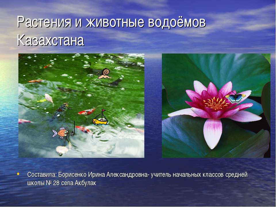 Растения и животные водоёмов Казахстана - Учебники, Презентации и Подготовка к Экзаменам для Школьников на Klass-Uchebnik.com