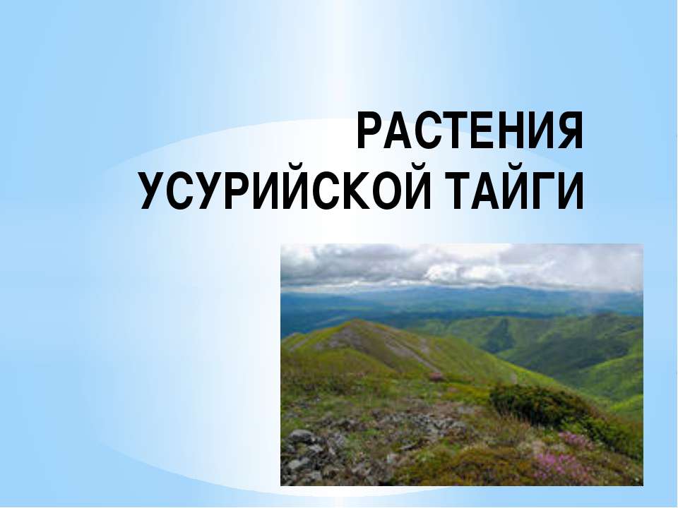 Растения Уссурийской Тайги - Учебники, Презентации и Подготовка к Экзаменам для Школьников на Klass-Uchebnik.com