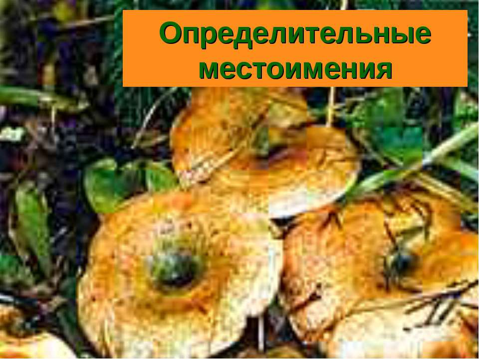 Определительные местоимения - Учебники, Презентации и Подготовка к Экзаменам для Школьников на Klass-Uchebnik.com