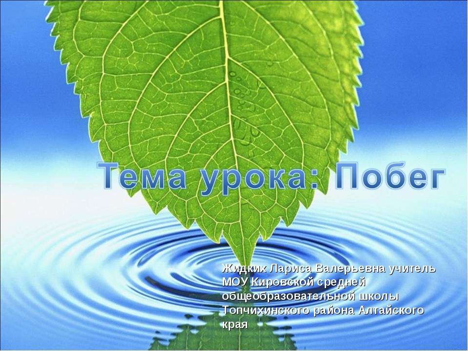 Корень.строение и функции. - Учебники, Презентации и Подготовка к Экзаменам для Школьников на Klass-Uchebnik.com