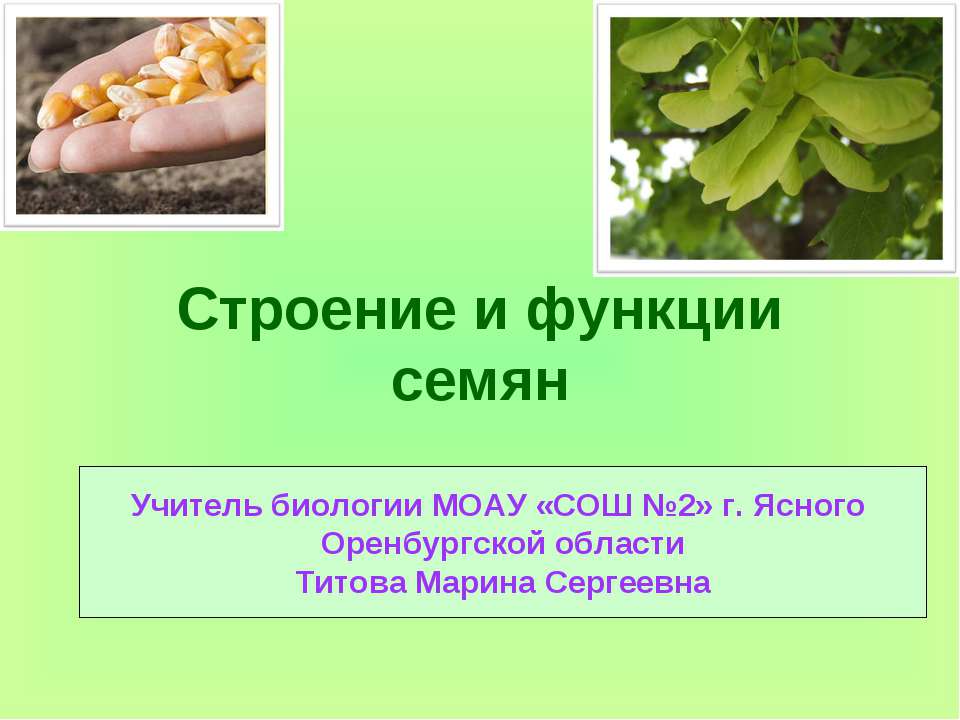 Строение и функции семян Учебники, Презентации и Подготовка к Экзаменам для Школьников на Klass-Uchebnik.com