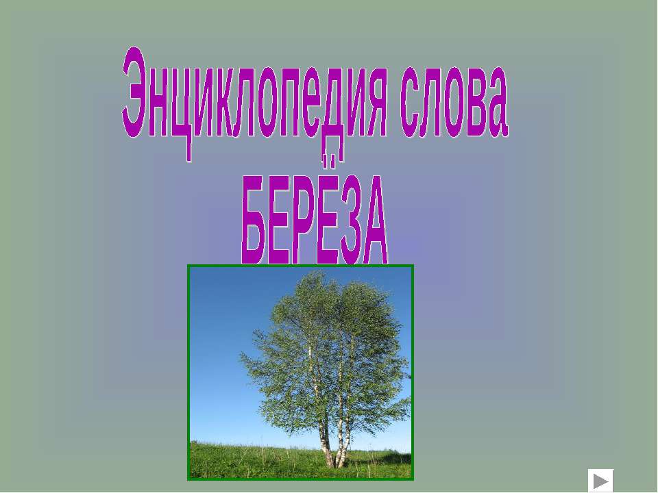 Энциклопедия слова Берёза Учебники, Презентации и Подготовка к Экзаменам для Школьников на Klass-Uchebnik.com