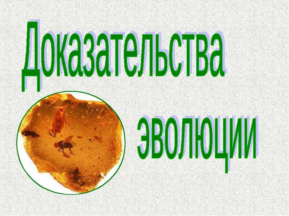 Доказательства эволюции Учебники, Презентации и Подготовка к Экзаменам для Школьников на Klass-Uchebnik.com