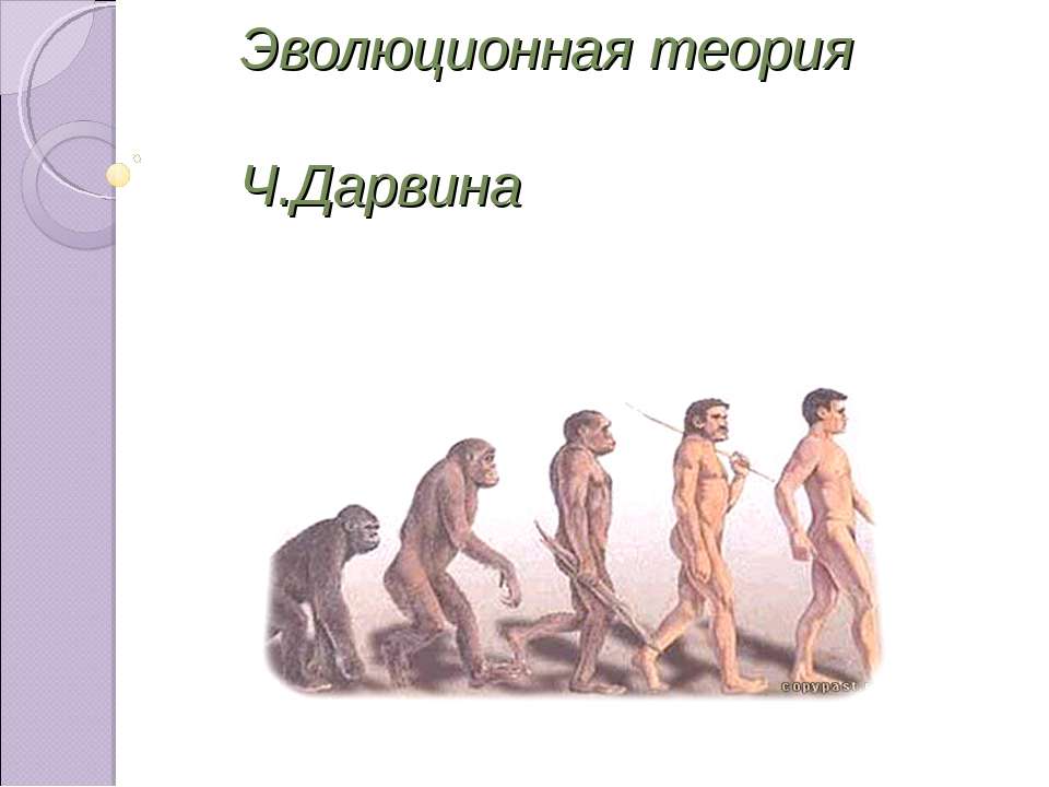 Эволюционная теория Ч.Дарвина - Учебники, Презентации и Подготовка к Экзаменам для Школьников на Klass-Uchebnik.com