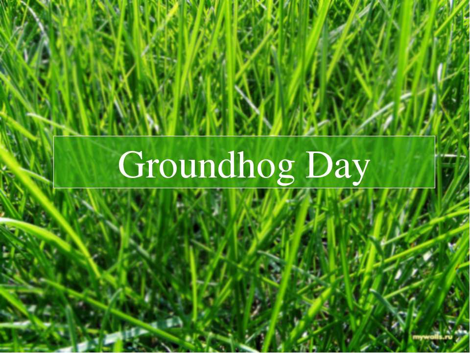 Groundhog Day Учебники, Презентации и Подготовка к Экзаменам для Школьников на Klass-Uchebnik.com