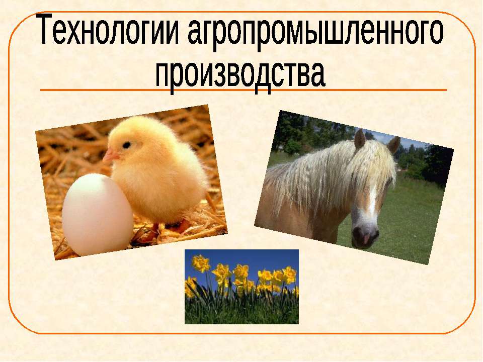 Технологии агропромышленного производства Учебники, Презентации и Подготовка к Экзаменам для Школьников на Klass-Uchebnik.com