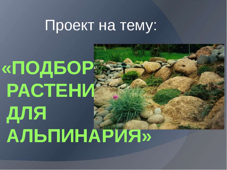 Подбор растений для Альпинария Учебники, Презентации и Подготовка к Экзаменам для Школьников на Klass-Uchebnik.com