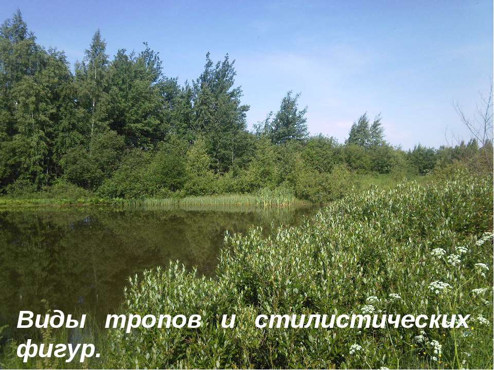 Виды тропов и стилистических фигур Учебники, Презентации и Подготовка к Экзаменам для Школьников на Klass-Uchebnik.com